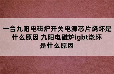 一台九阳电磁炉开关电源芯片烧坏是什么原因 九阳电磁炉igbt烧坏是什么原因